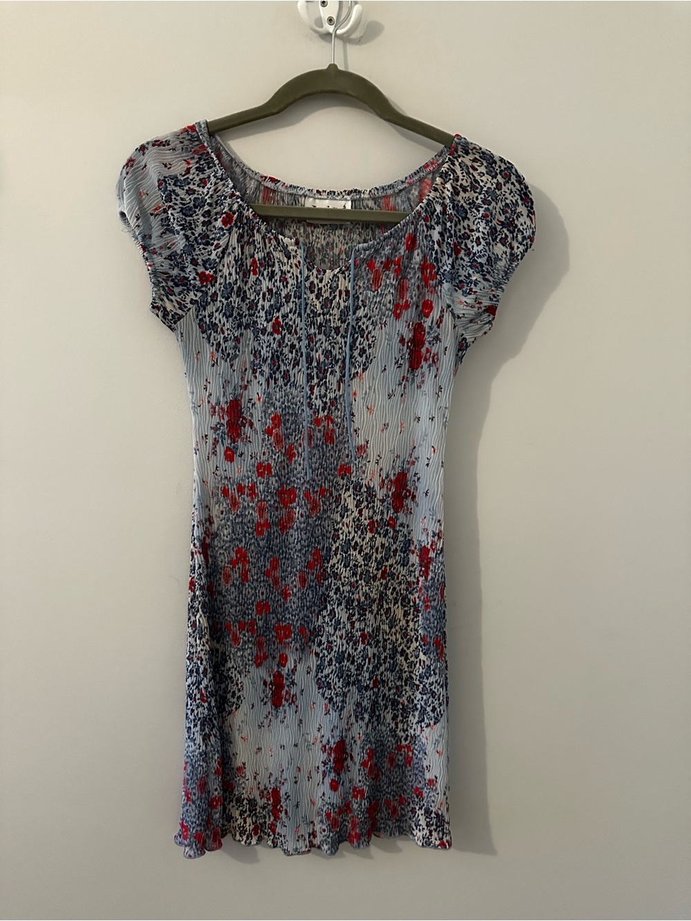 Partially Sheer Floral Pleated Mini Dress in Blue & Red